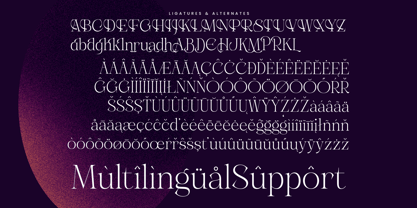 Gravite Elevaty Font Poster 15