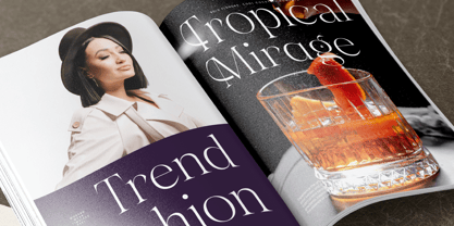 Gravite Elevaty Font Poster 9