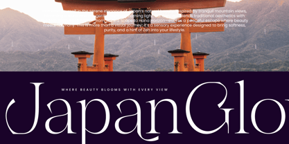 Gravite Elevaty Font Poster 3