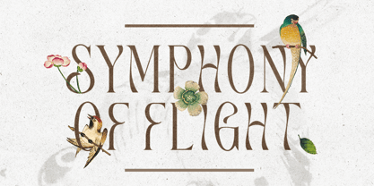 Marione Font Poster 7