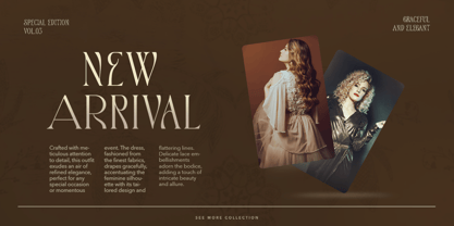 Marione Font Poster 6