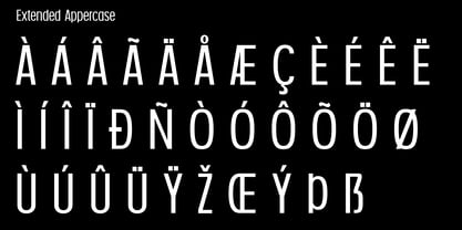 Nexora Font Poster 12