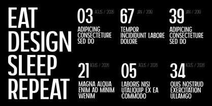 Nexora Font Poster 14