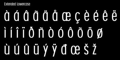 Nexora Font Poster 13