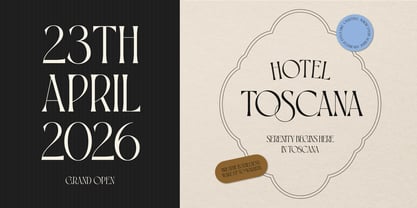 BD Phoserine Font Poster 8