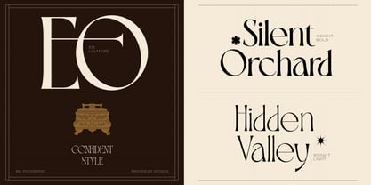 BD Phoserine Font Poster 4