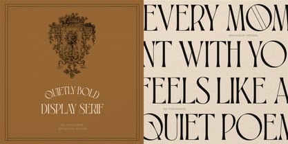 BD Phoserine Font Poster 12