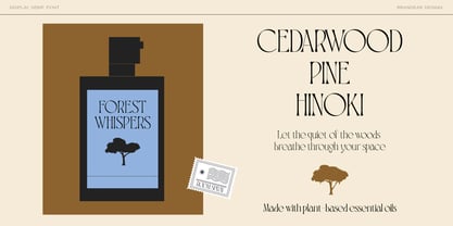 BD Phoserine Font Poster 6