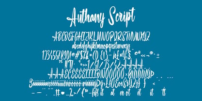 Authany Script Font Poster 15