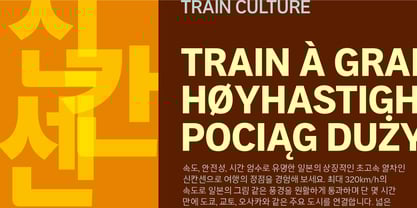 Aaux Pro Korean Font Poster 6