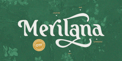 Sprinkle Beauty Font Poster 7