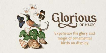 Sprinkle Beauty Font Poster 2