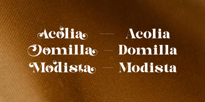 Astelin Font Poster 4