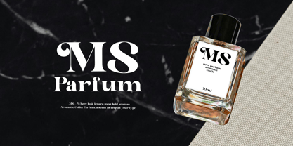 Astelin Font Poster 6