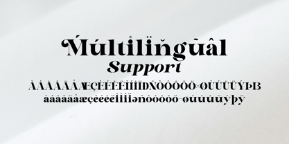 Astelin Font Poster 13