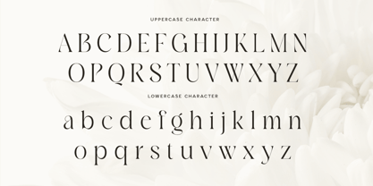 Ravello Font Poster 11
