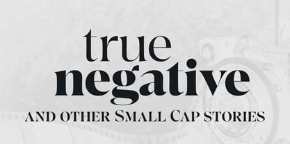 Crave Fine Font Poster 6