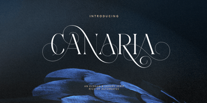 Canaria Font Poster 1