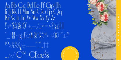 Emblora Font Poster 14