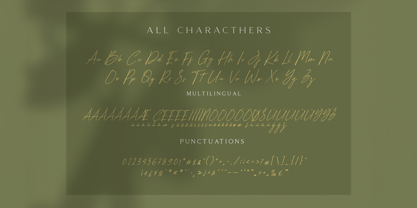 Heleny Font Poster 6