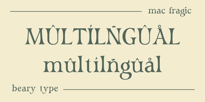 Mac Fragic Font Poster 10