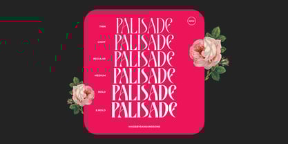 Rosalte Font Poster 4