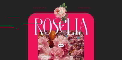 Rosalte Font Poster 7