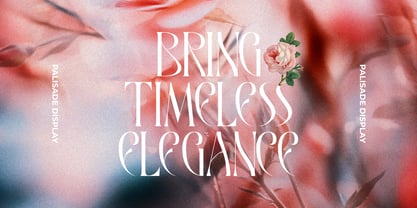 Rosalte Font Poster 10