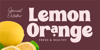 Moldie Font Poster 6