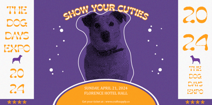 Gadion Rough Font Poster 4