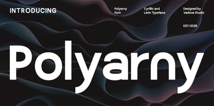 Polyarny Font Poster 1