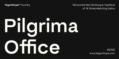 TG Pilgrima Office Font Poster 1