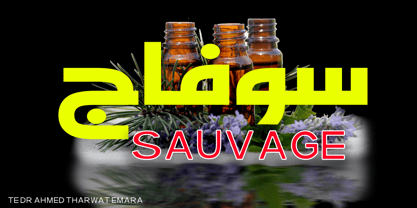 TE Dr Ahmed Font Poster 4