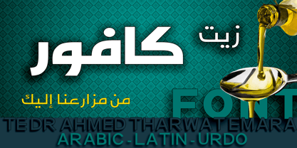 TE Dr Ahmed Font Poster 2