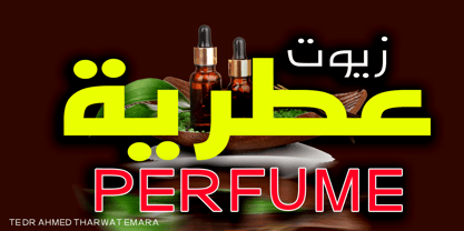 TE Dr Ahmed Font Poster 1