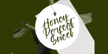 Ungkar Scripta Font Poster 6