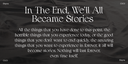 Eleyna Font Poster 4