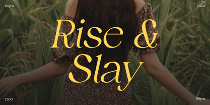 Eleyna Font Poster 3