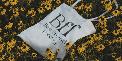 Eleyna Font Poster 5