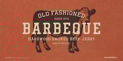 Field House Font Poster 6