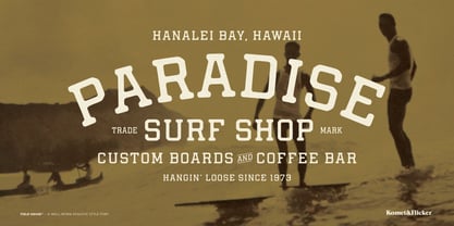 Field House Font Poster 8