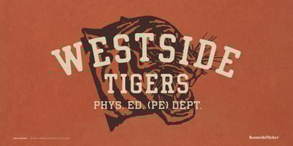 Field House Font Poster 12