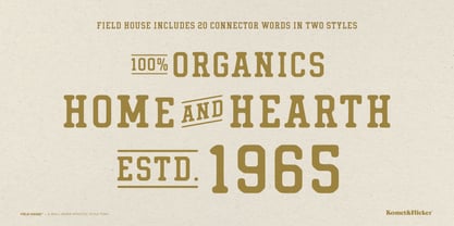 Field House Font Poster 11