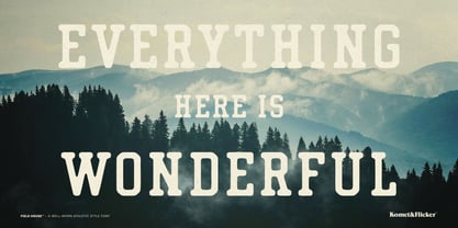 Field House Font Poster 13