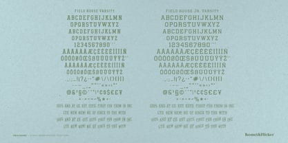 Field House Font Poster 15