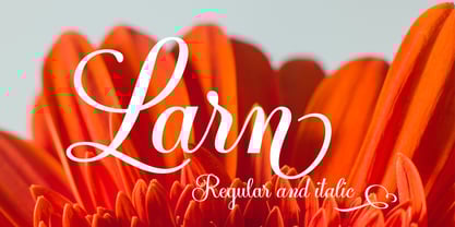 Larn Font Poster 1