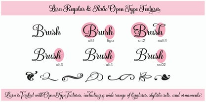 Larn Font Poster 8