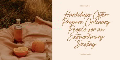 YT Bertley Font Poster 11