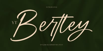 YT Bertley Font Poster 1