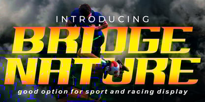 Bridger Font Poster 9